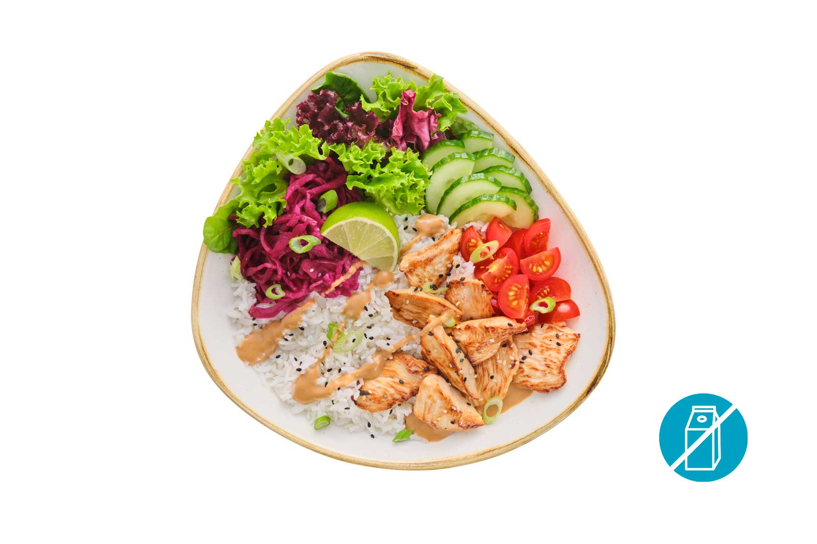 Chicken Teriyaki Bowl