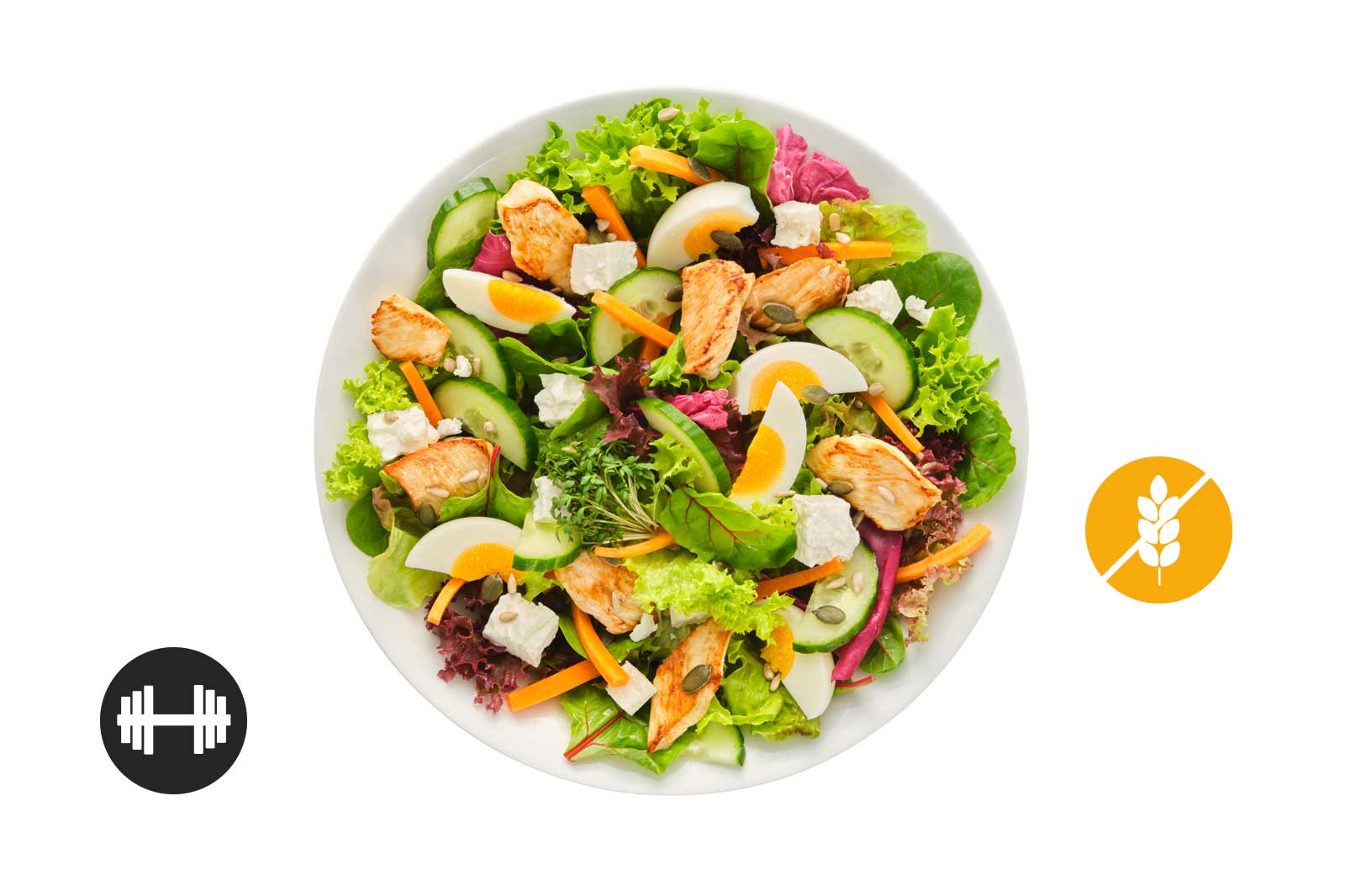 Chicken Vitality Salad