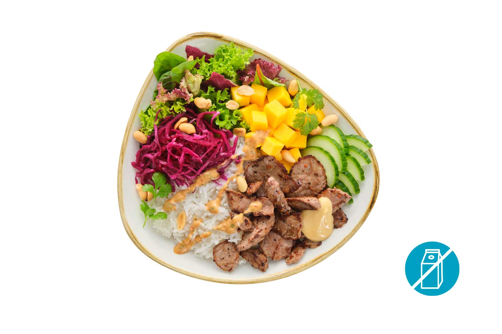 Japanese Beef Bowl