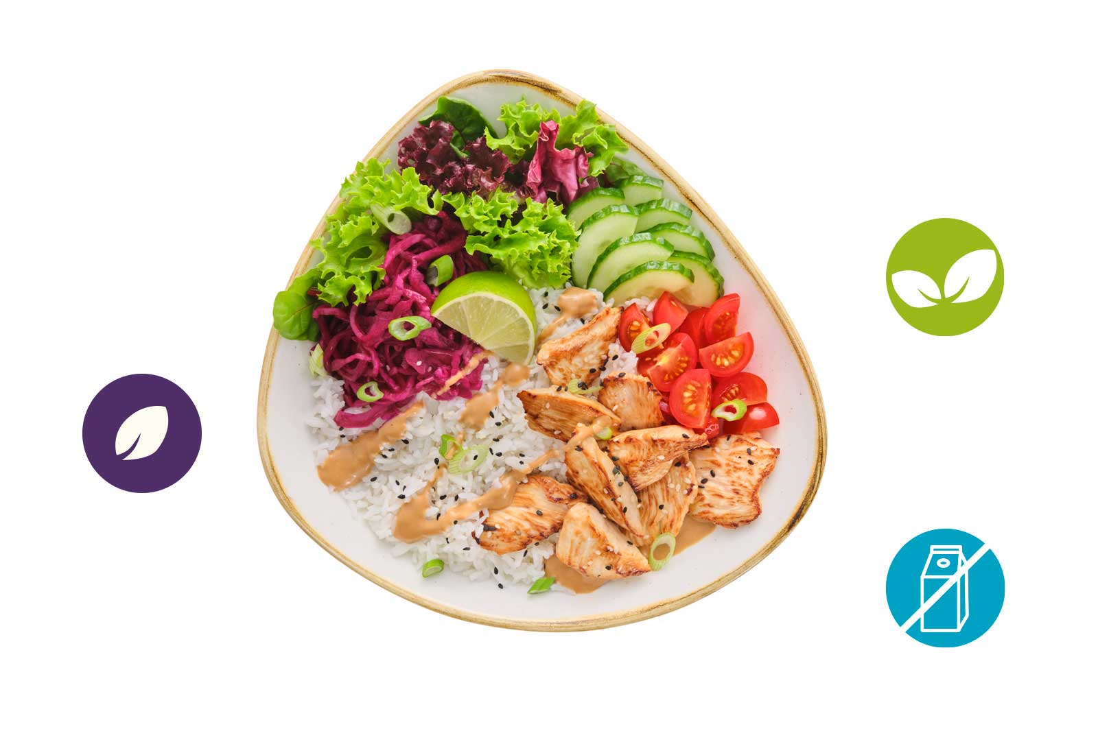 Planted Chicken Teriyaki Bowl 1 Planted Chicken Teriyaki Bowl