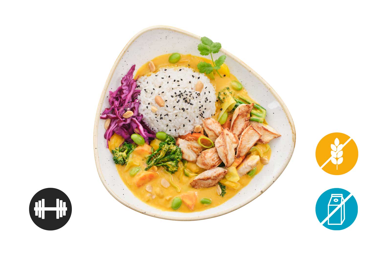 Mango chicken curry 1 Mango Chicken Curry